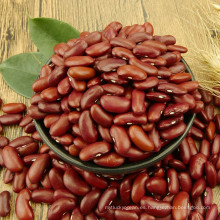 Granos de riñón rojo oscuro de la comida natural de la agricultura del proveedor chino